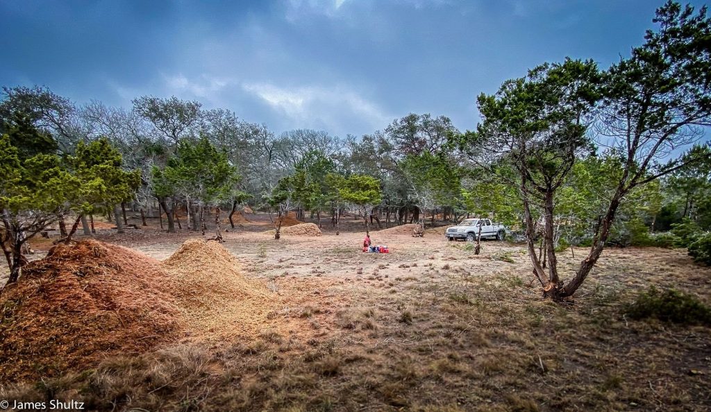 land clearing hays county tx