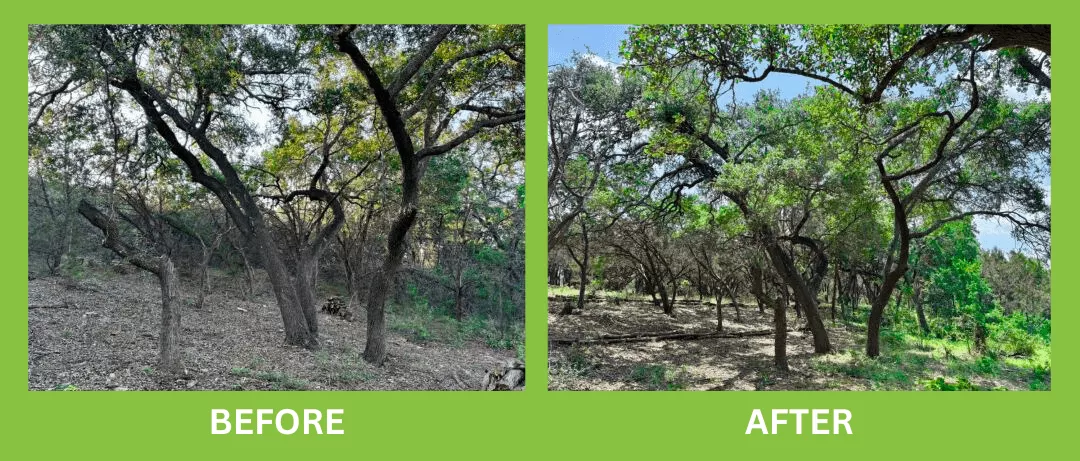 land restoration hays county