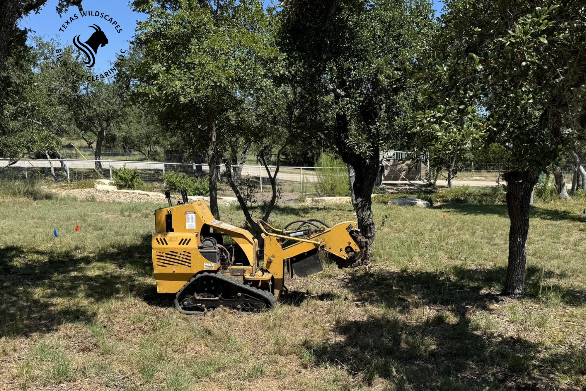 tree removal wimberley