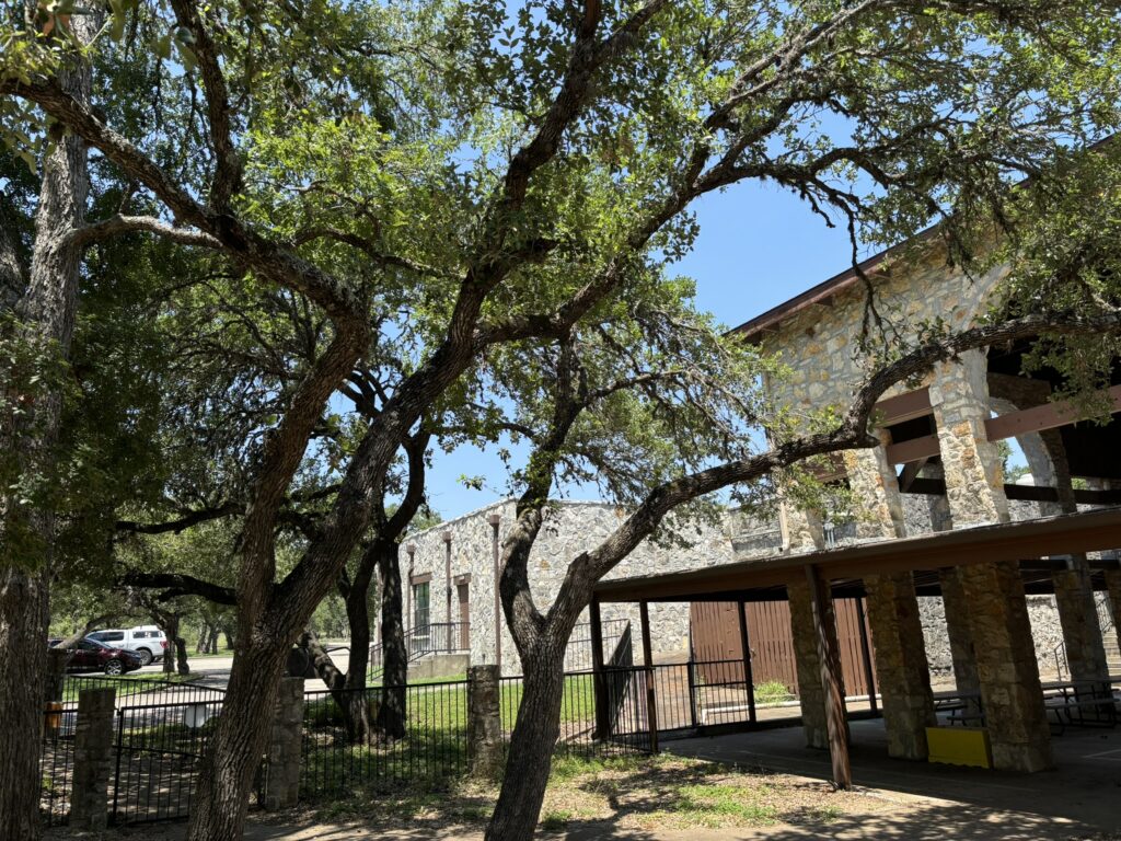 Fischer Tree Service