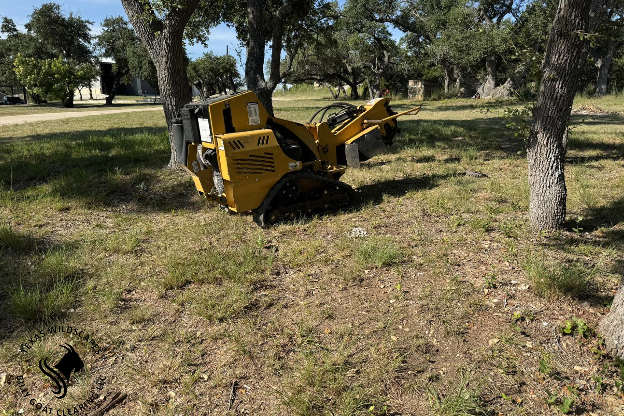 tree removal wimberley texas