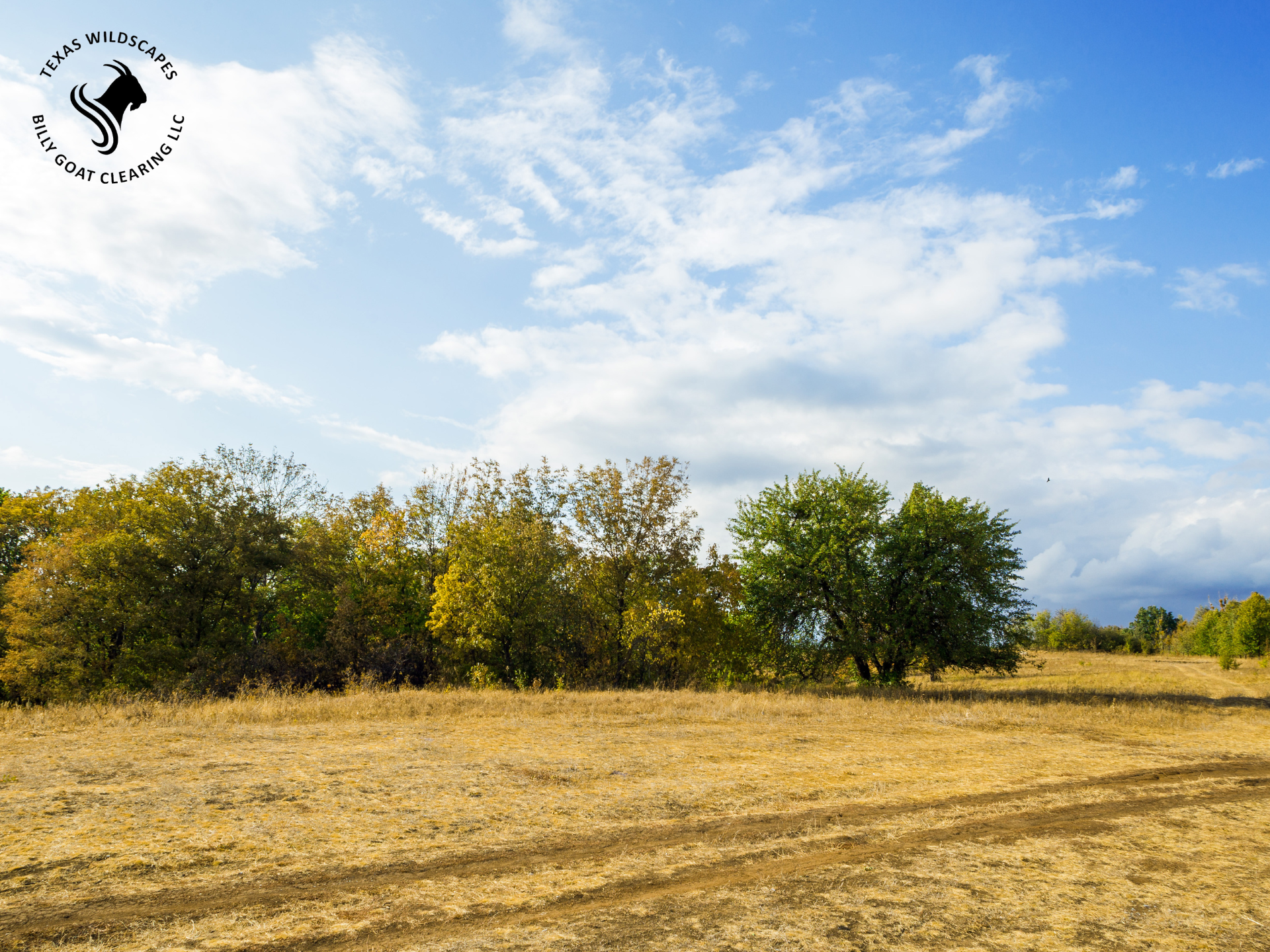 land clearing company hays county