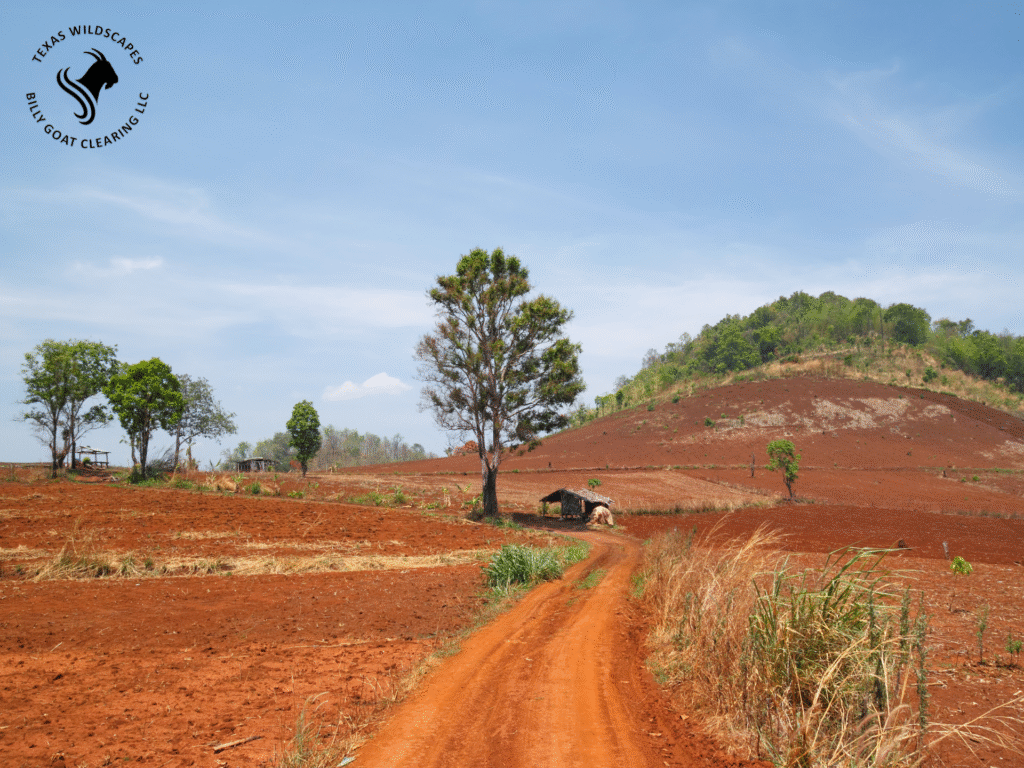 land clearing canyon lake