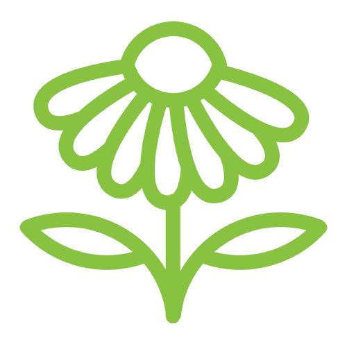 Native Landscape & Design Implementation