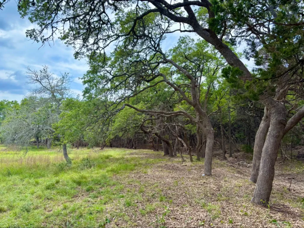 Grassland Reclamation