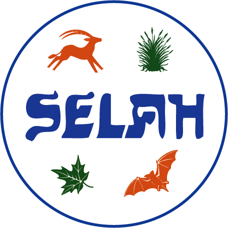 Selah