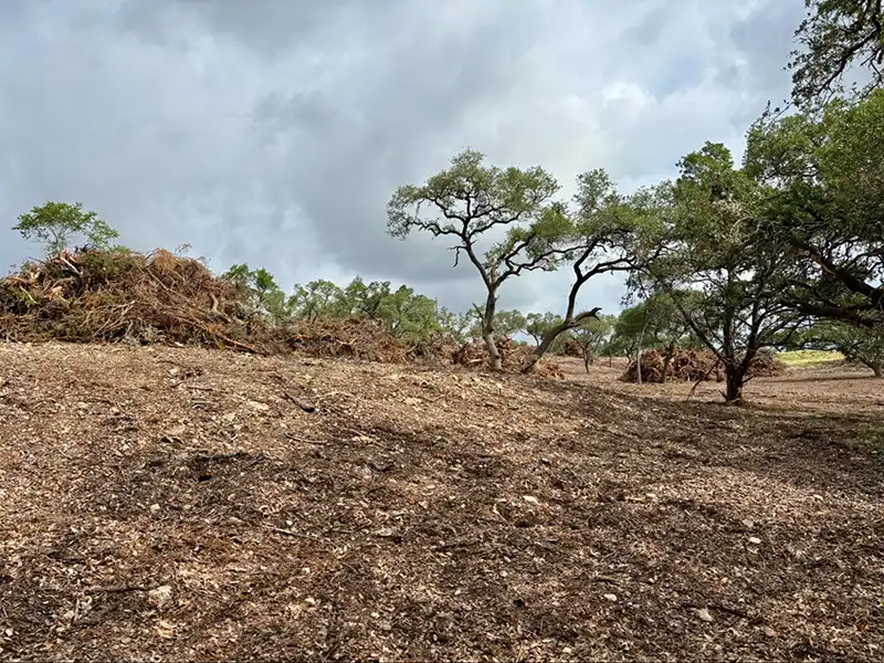 Land Clearing