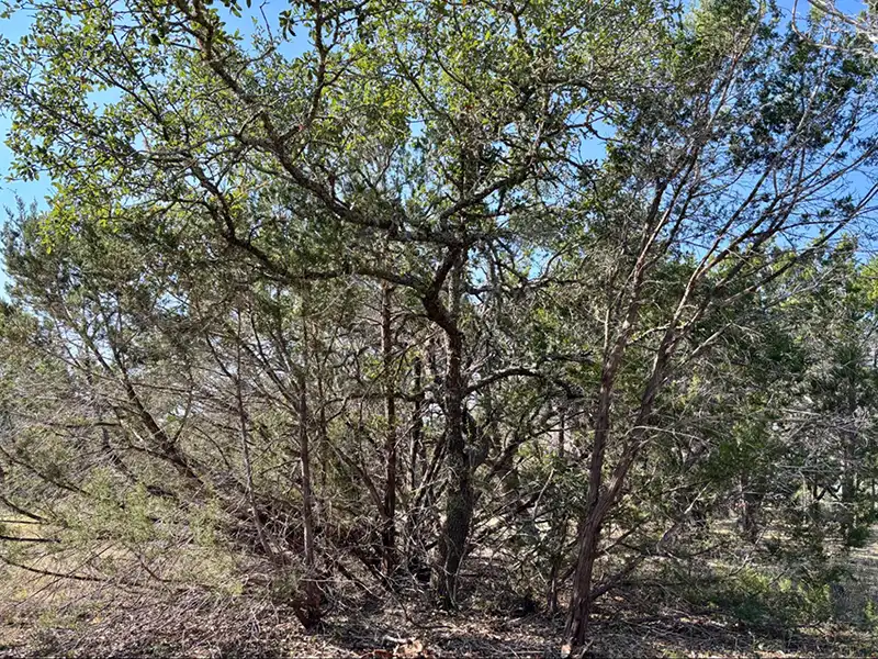 Proudly Serving Hays County