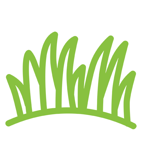 Grass growth