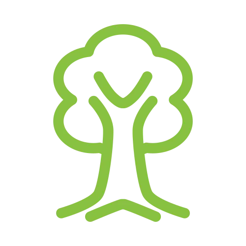 Healthier oak trees and hardwoods